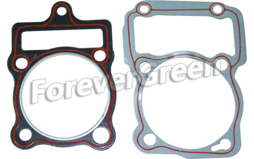 67009 Cylinder Gaskets